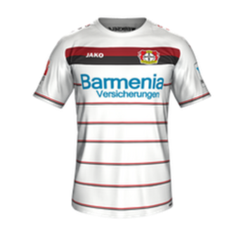 2016-2017 Third kit