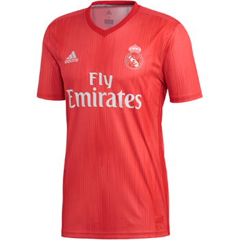 2018-2019 Third kit