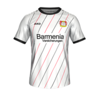 2018-2019 Away kit