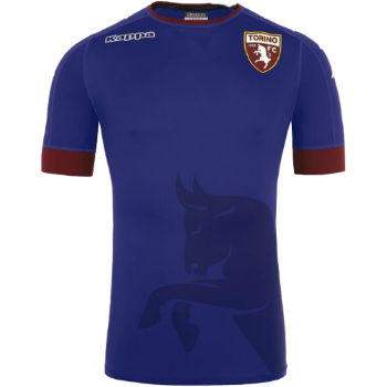 2016-2017 Third kit