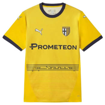 2024-2025 Third kit
