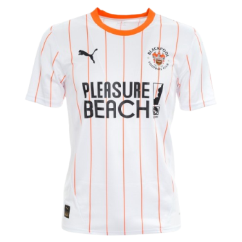 2024-2025 Third kit