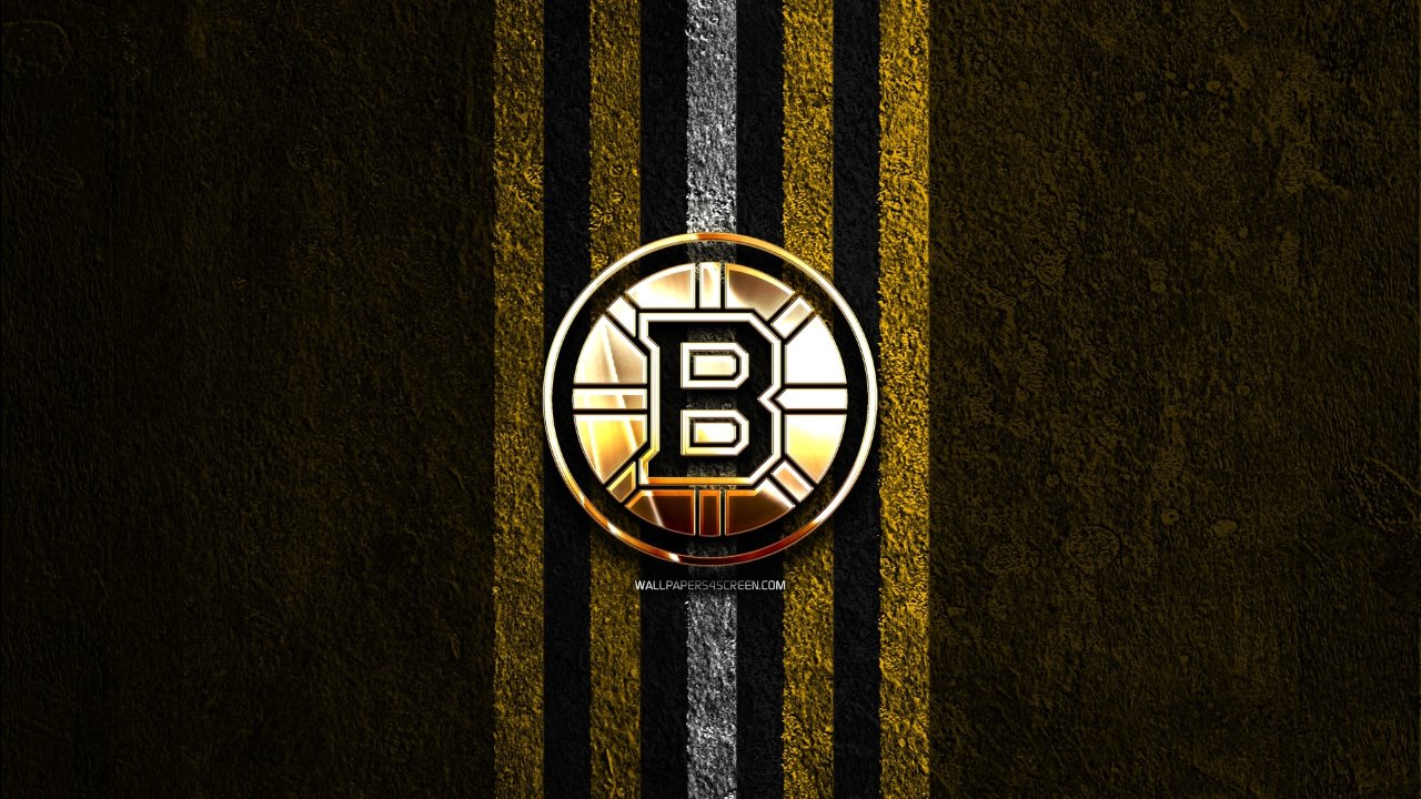 Boston Bruins fan art 4
