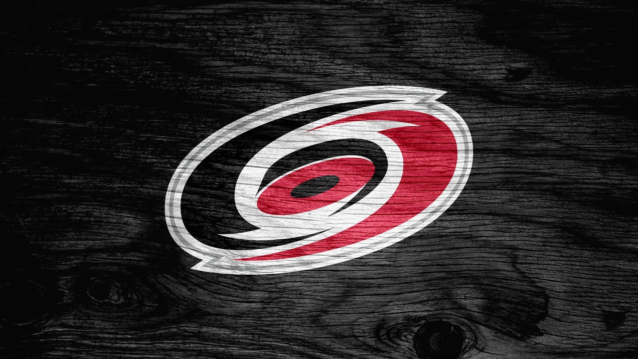 Carolina Hurricanes fan art 1