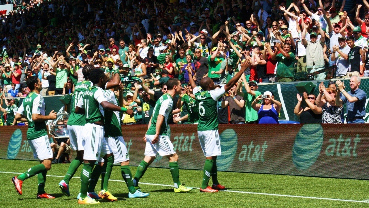 Portland Timbers fan art 1