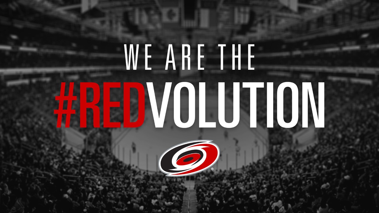 Carolina Hurricanes fan art 4