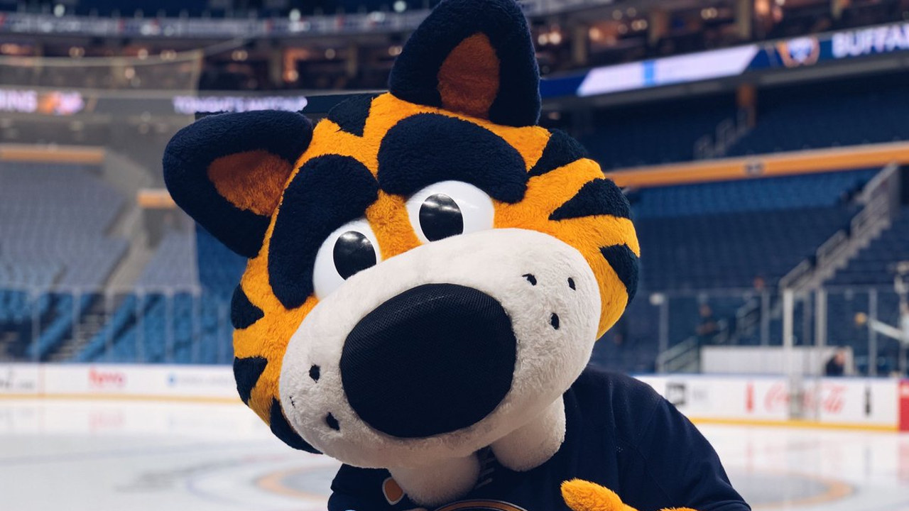 Buffalo Sabres fan art 4