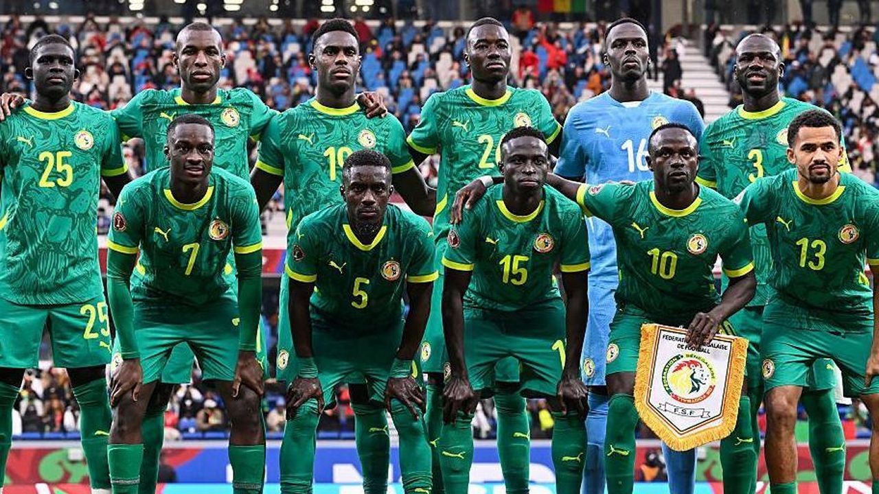 Senegal Fan Art 4
