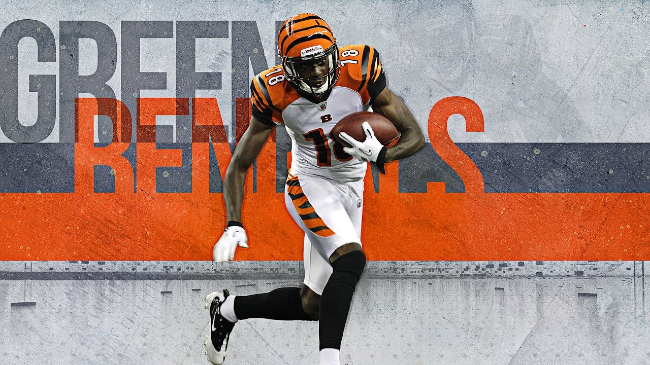 Cincinnati Bengals fan art 4