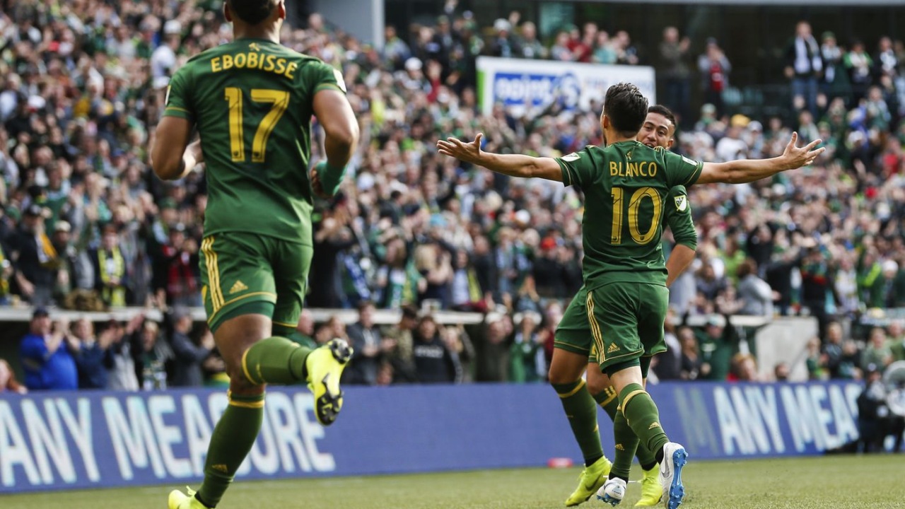 Portland Timbers fan art 2