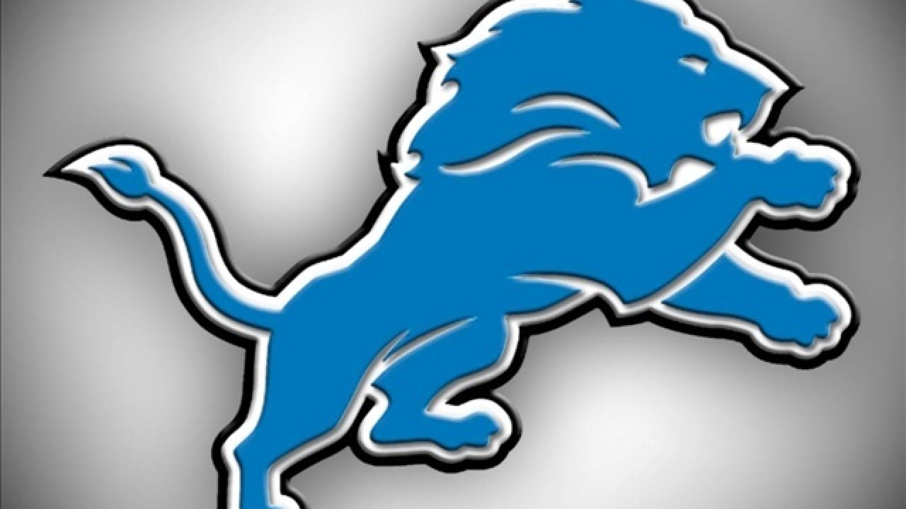 Detroit Lions fan art 1