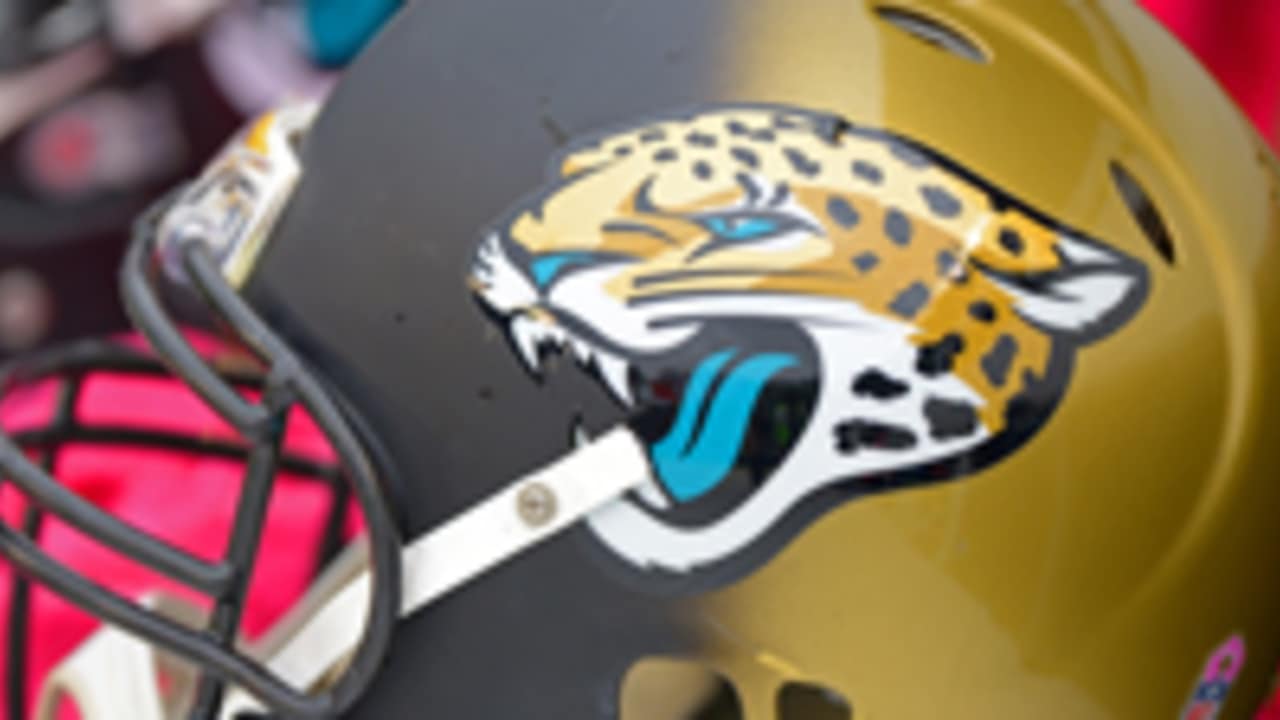 Jacksonville Jaguars fan art 4