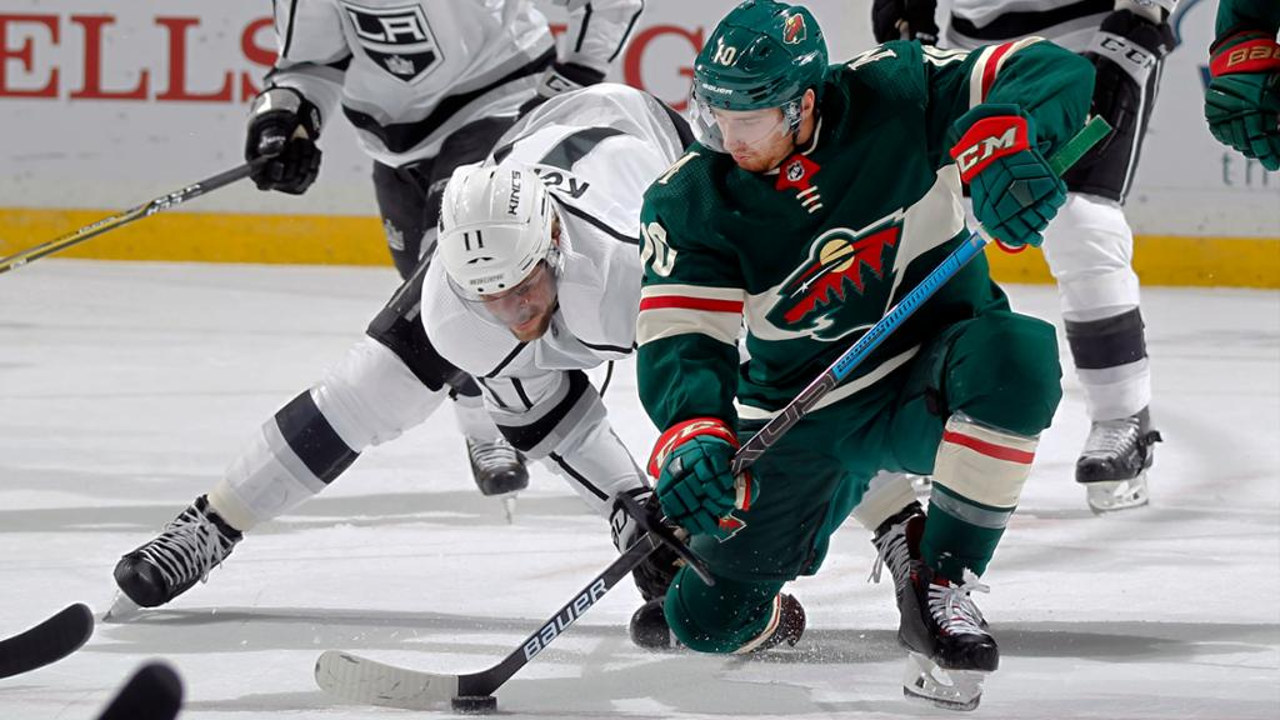 Minnesota Wild fan art 3