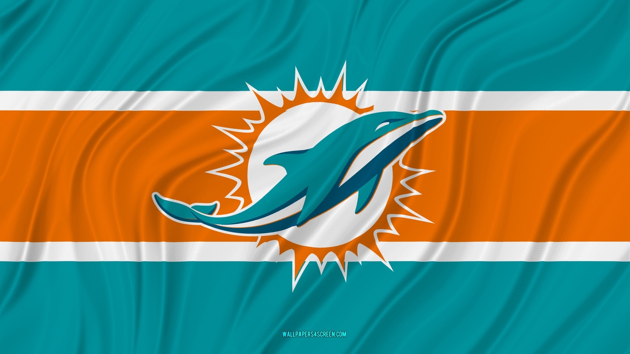 Miami Dolphins fan art 2