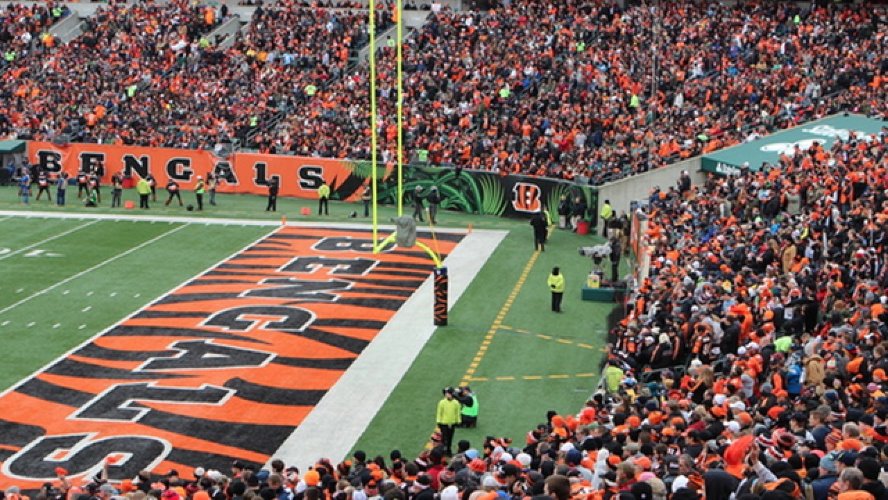 Cincinnati Bengals