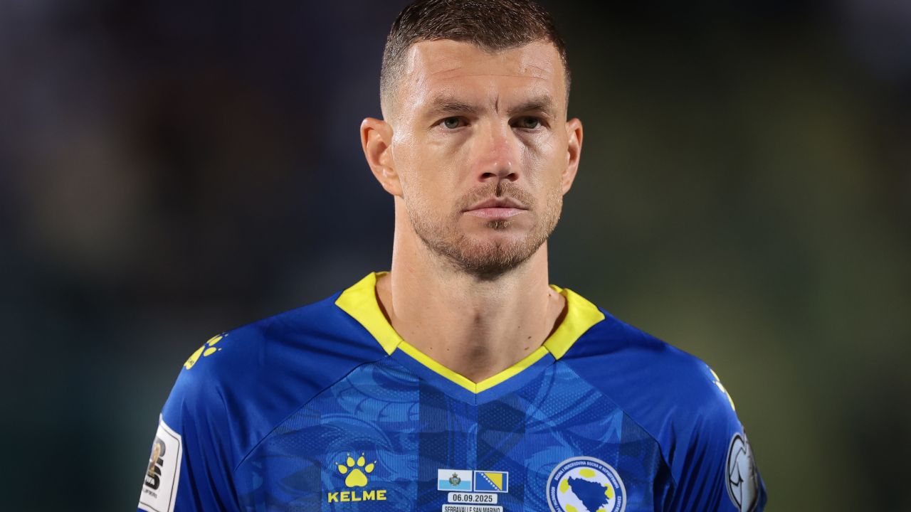 Bosnia-Herzegovina Fan Art 4