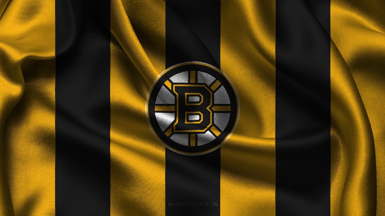 Boston Bruins fan art 2