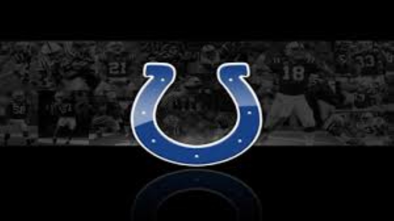 Indianapolis Colts fan art 1