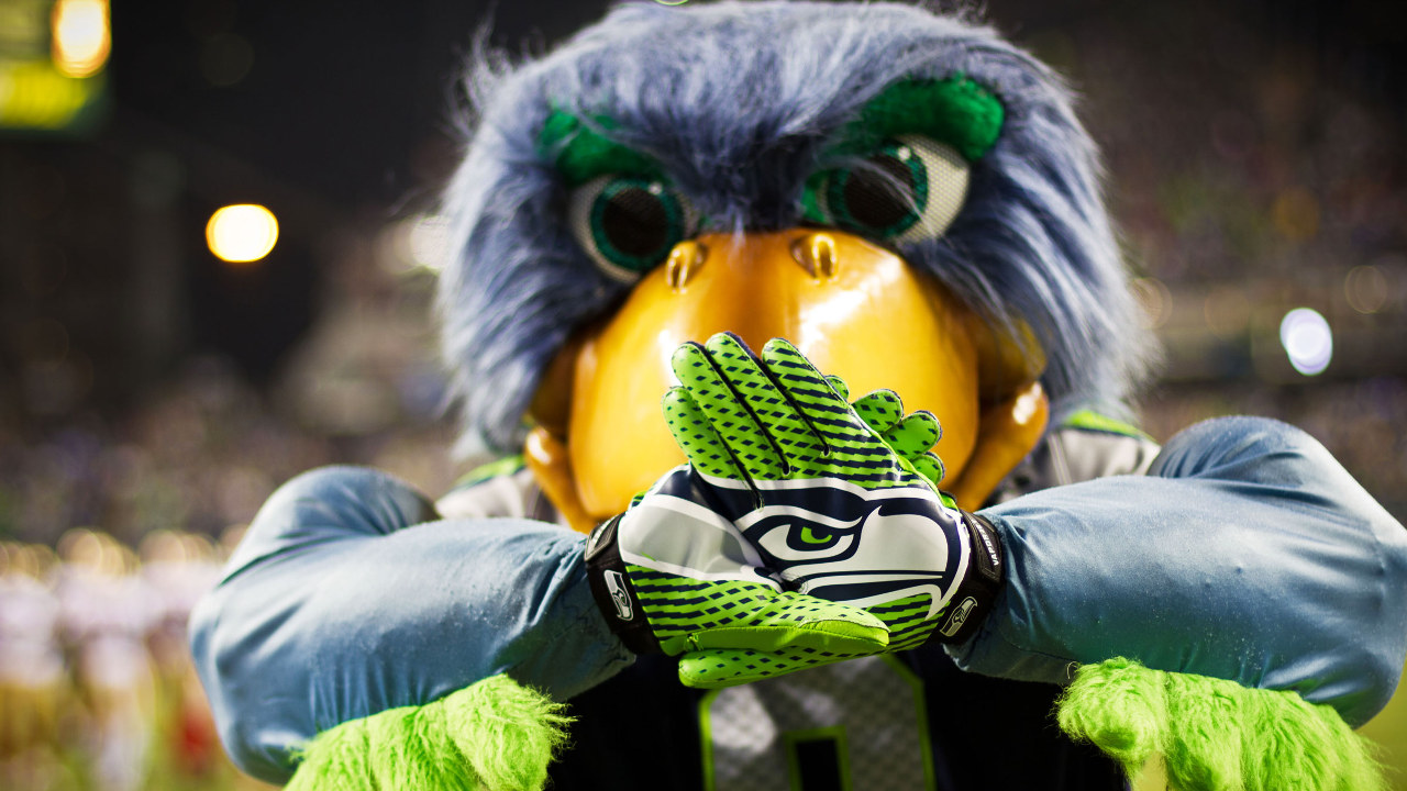 Seattle Seahawks fan art 4