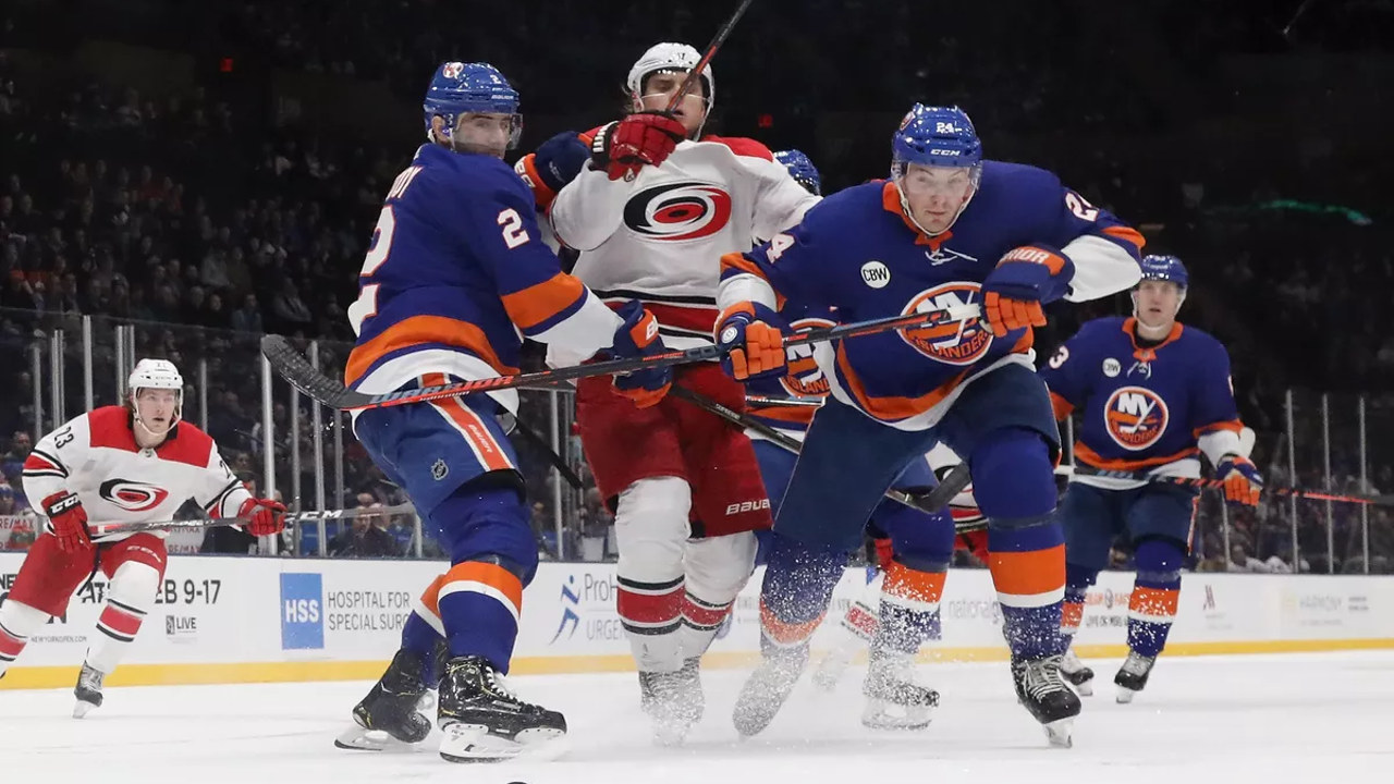 New York Islanders fan art 2