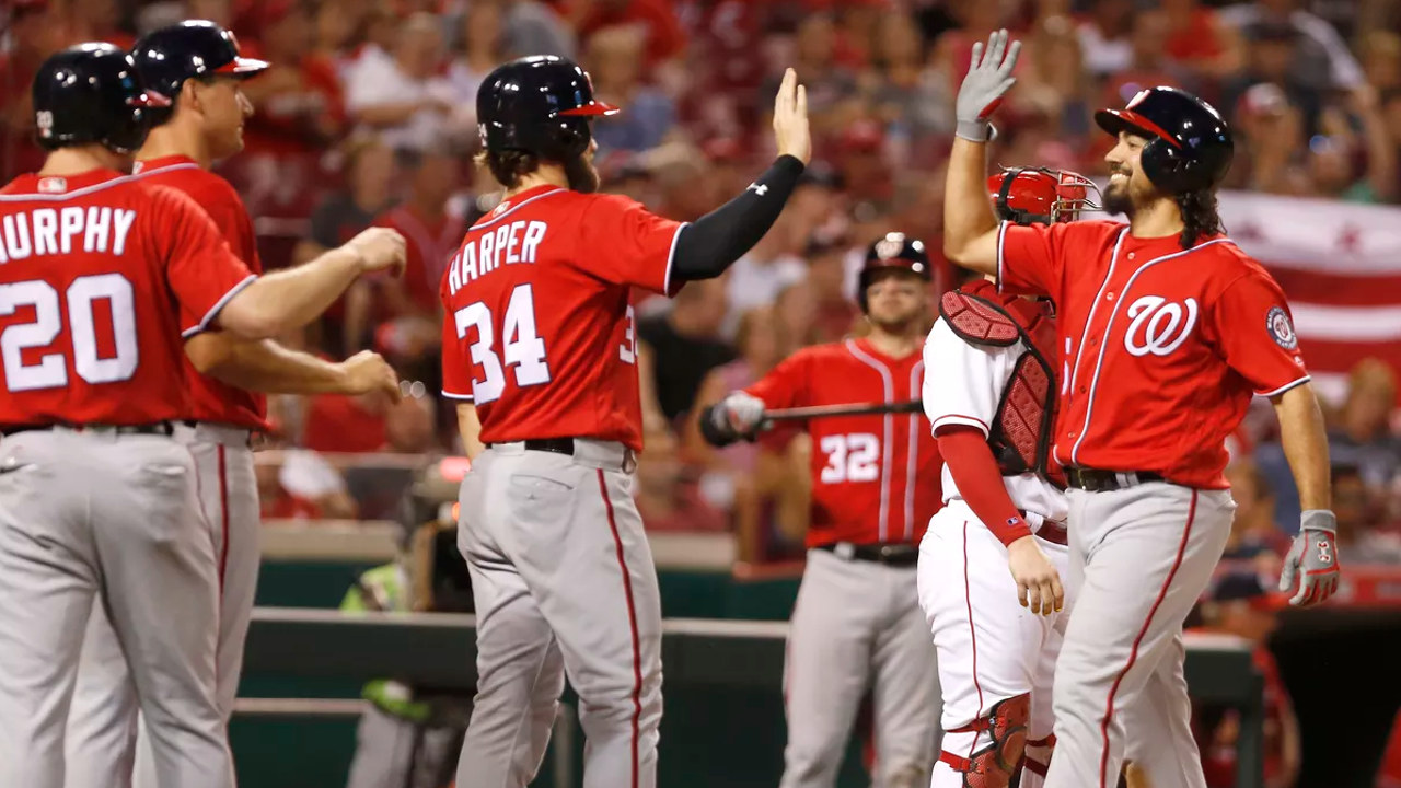 Washington Nationals fan art 2