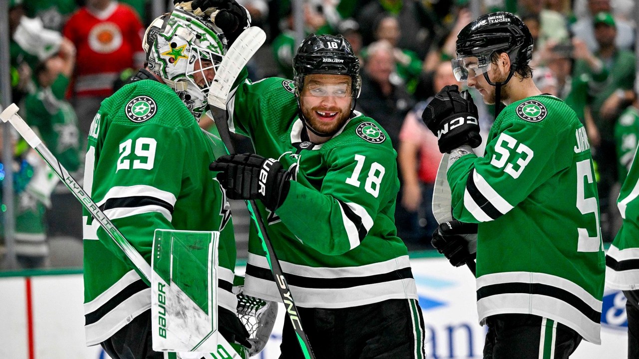 Dallas Stars fan art 1