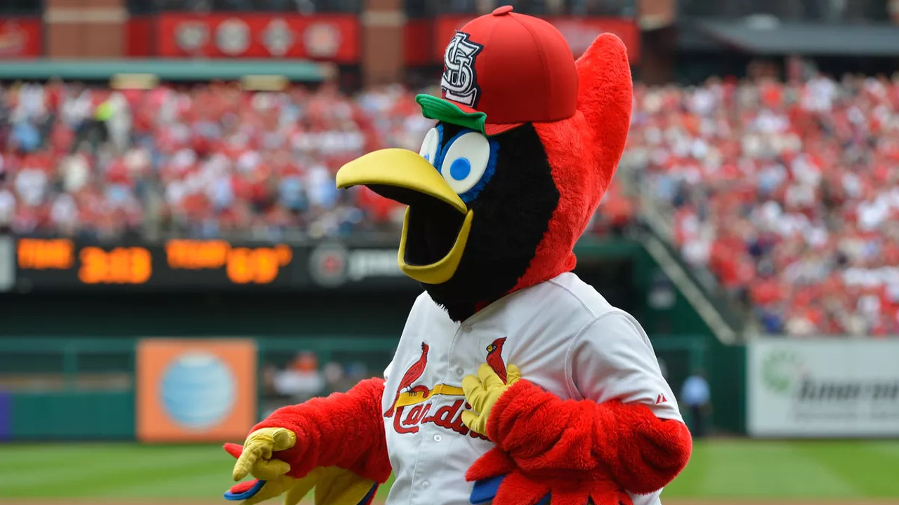 St. Louis Cardinals fan art 4