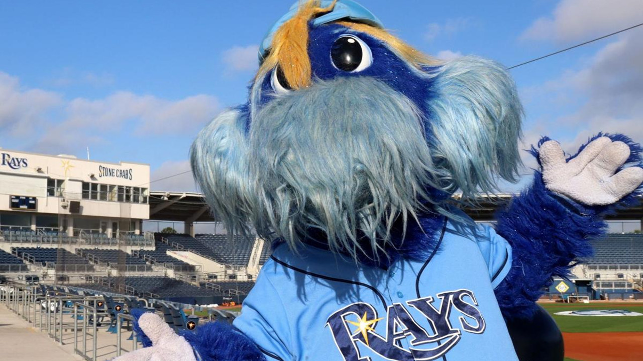 Tampa Bay Rays fan art 4