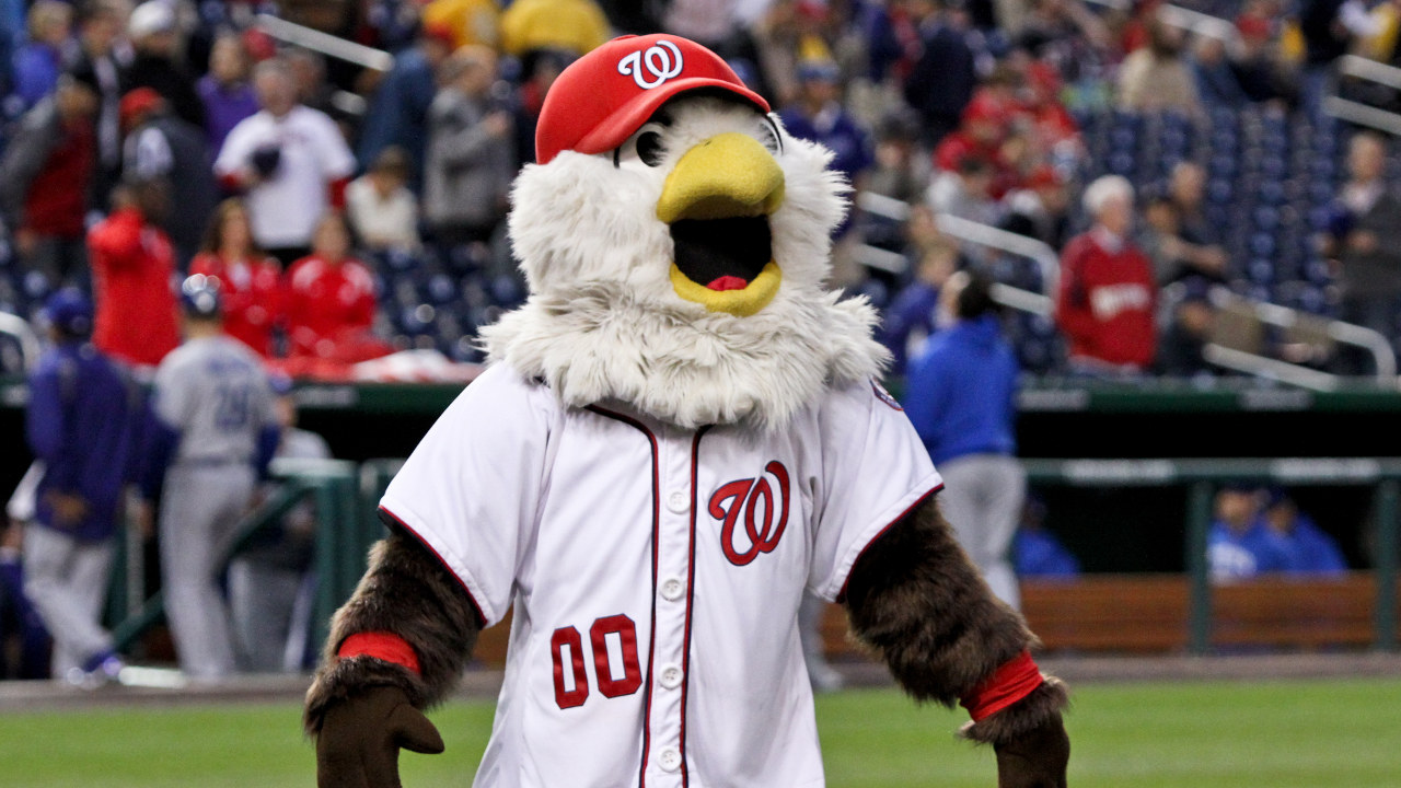 Washington Nationals fan art 4