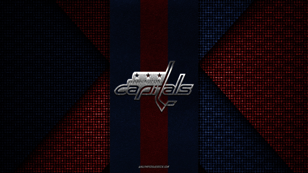 Washington Capitals fan art 4