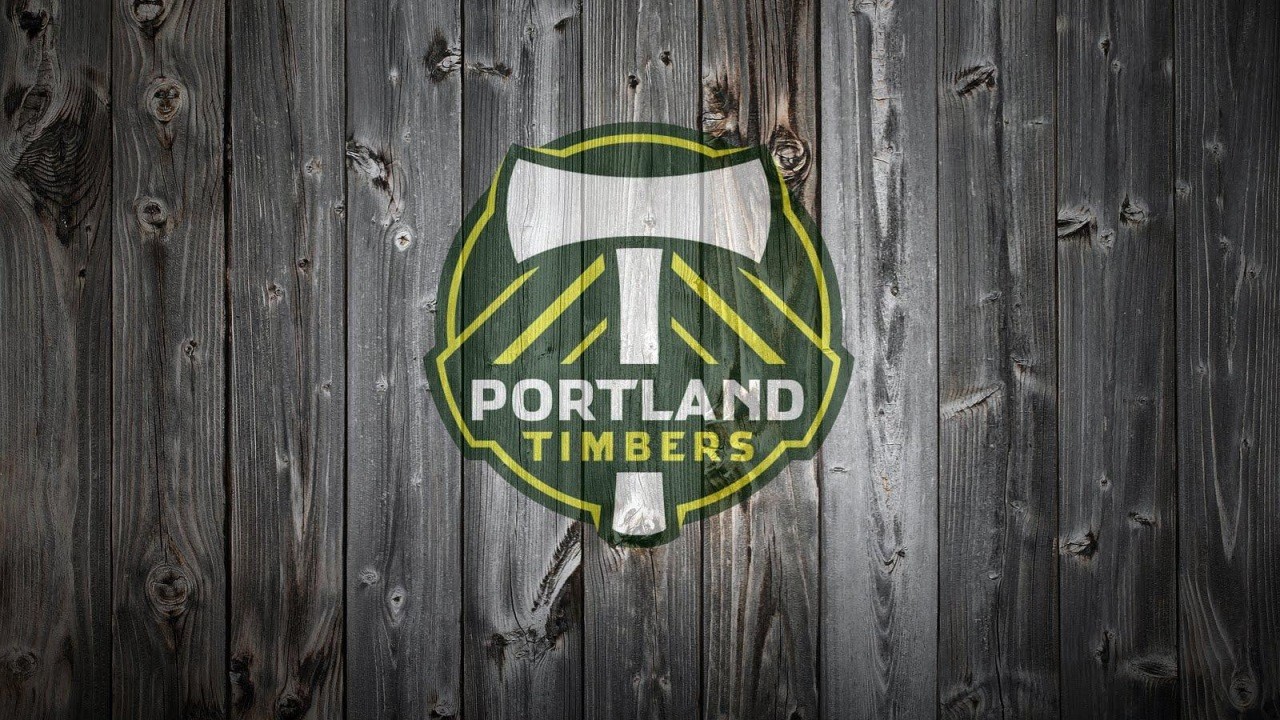 Portland Timbers fan art 3