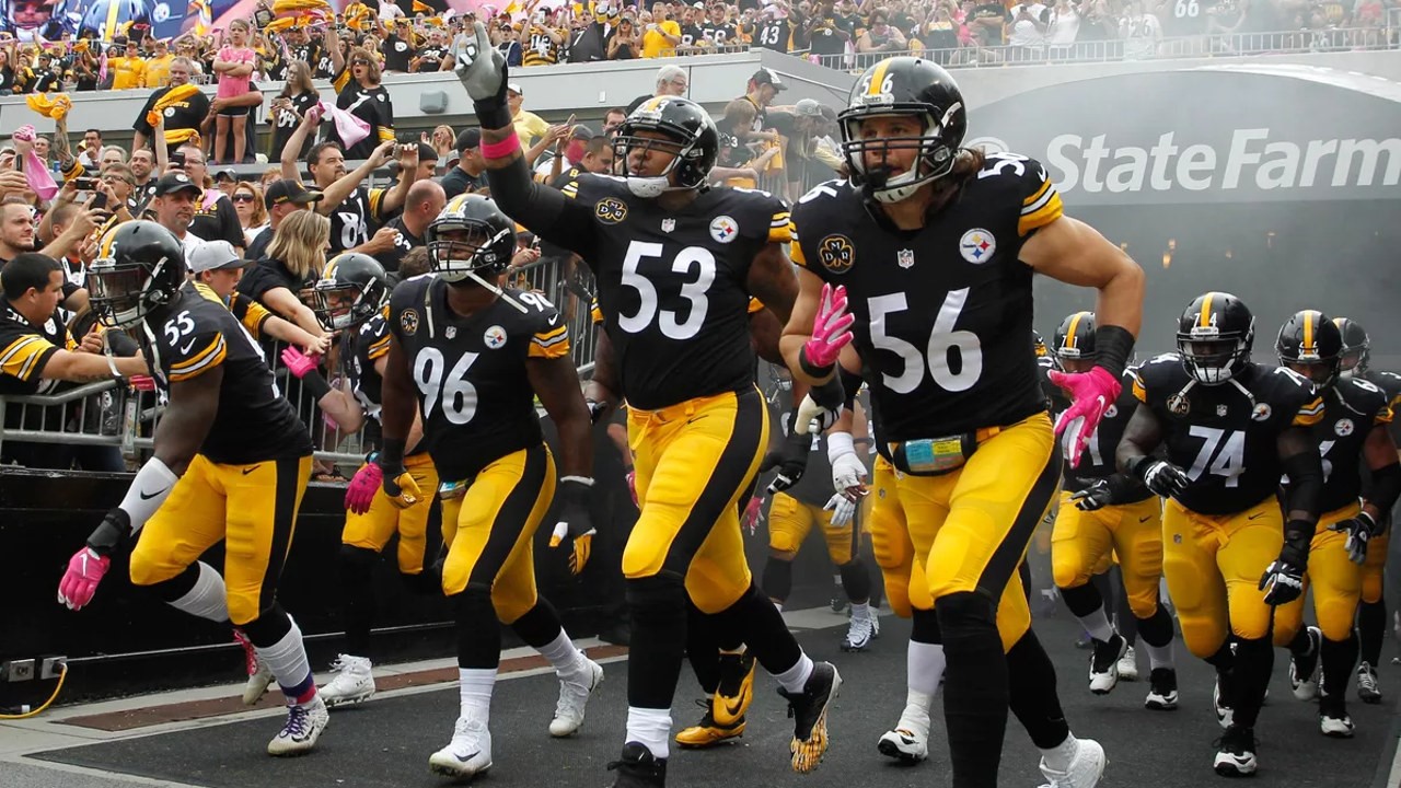 Pittsburgh Steelers fan art 4