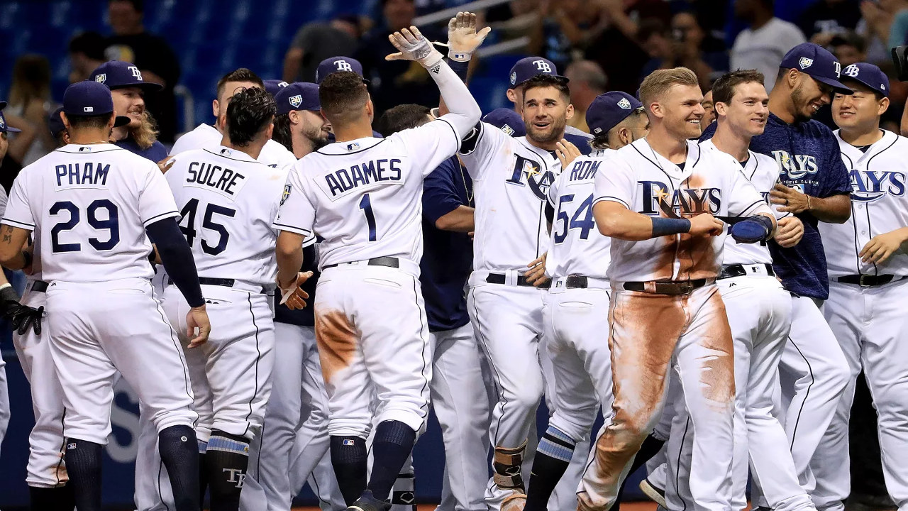 Tampa Bay Rays fan art 2