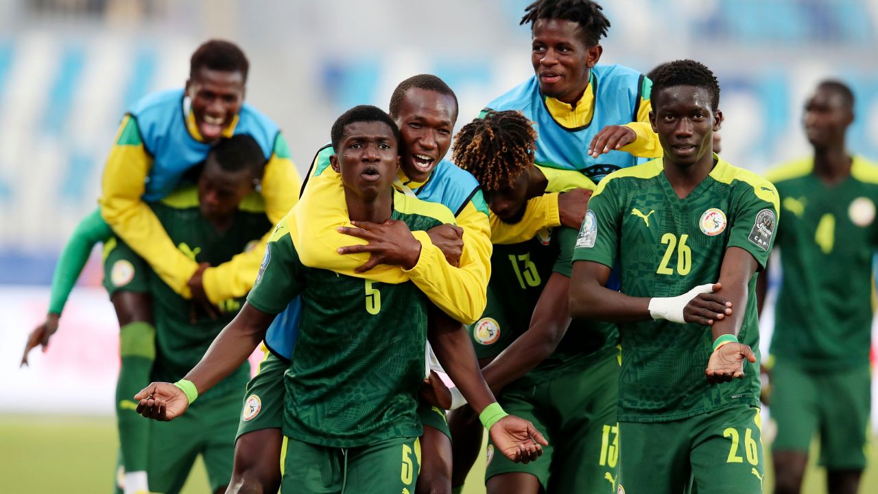 Senegal Fan Art 3