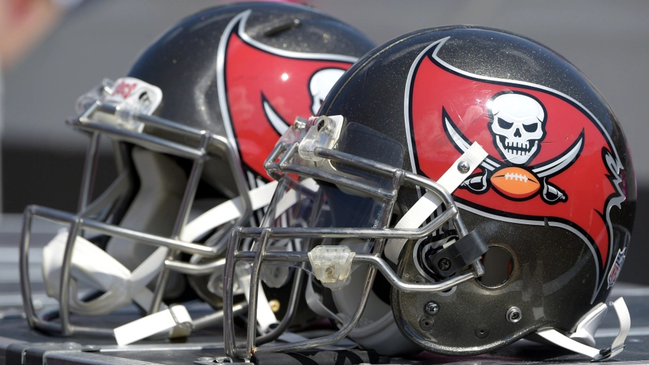 Tampa Bay Buccaneers fan art 1