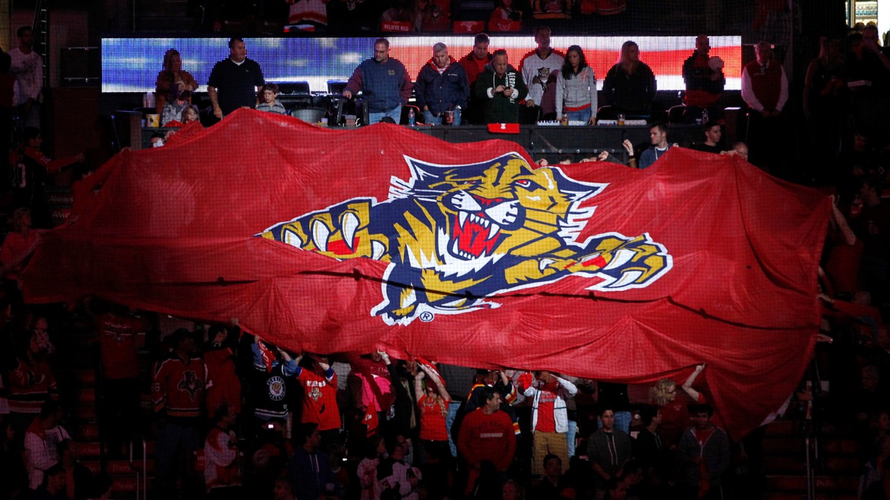 Florida Panthers fan art 4
