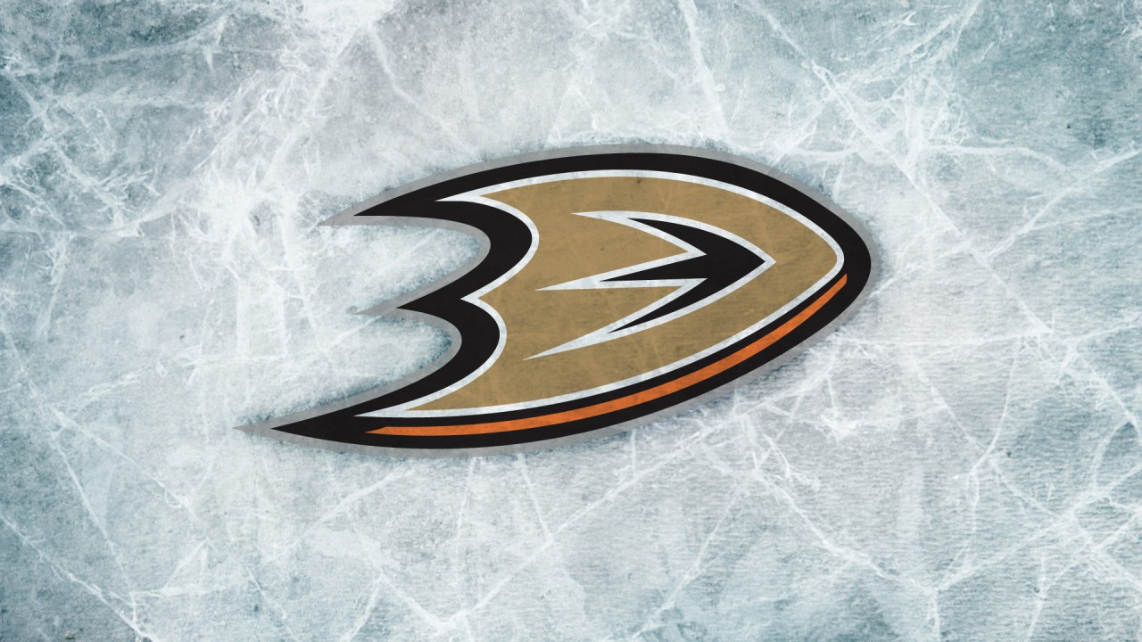 Anaheim Ducks fan art 1