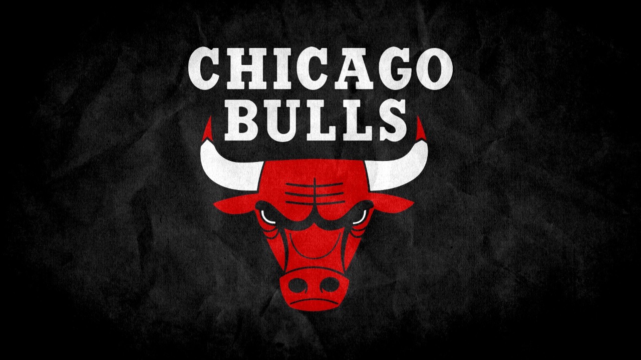 Chicago Bulls fan art 1