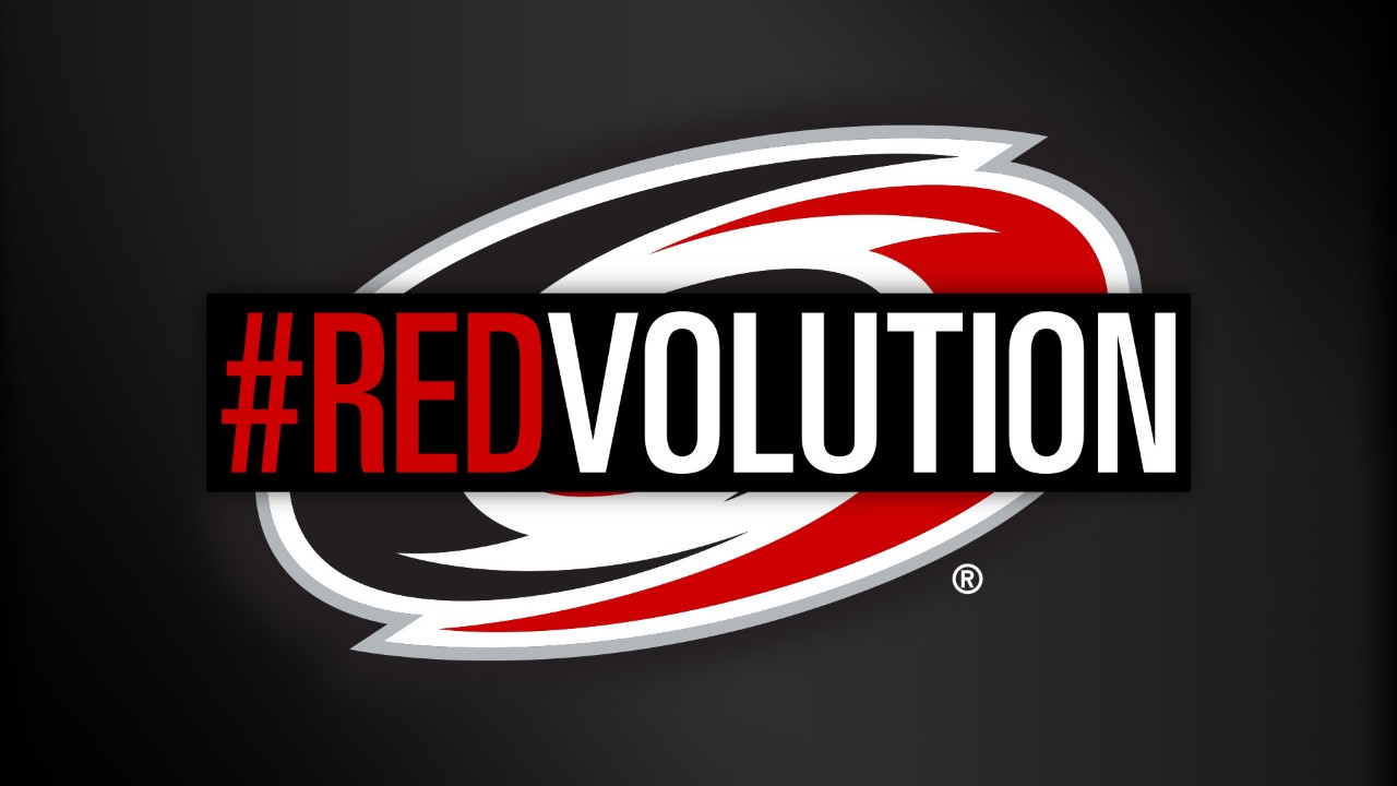 Carolina Hurricanes fan art 2