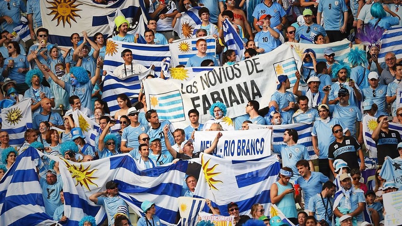 Uruguay Fan Art 3