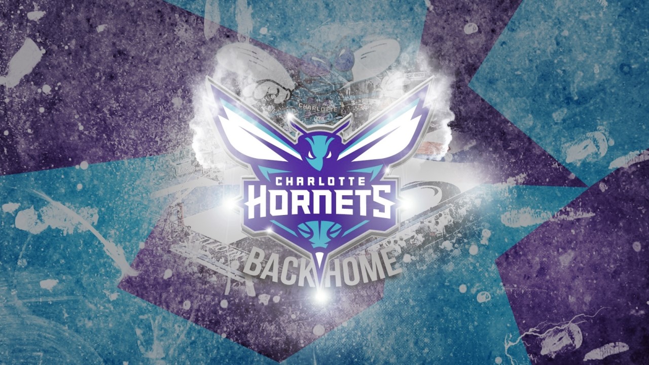 Charlotte Hornets fan art 1
