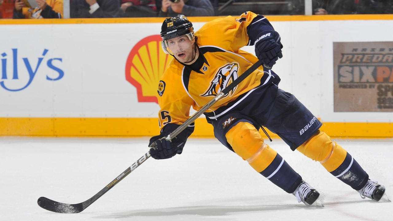 Nashville Predators fan art 3