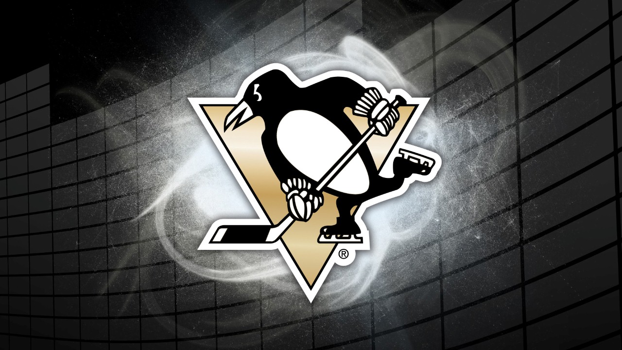 Pittsburgh Penguins fan art 1
