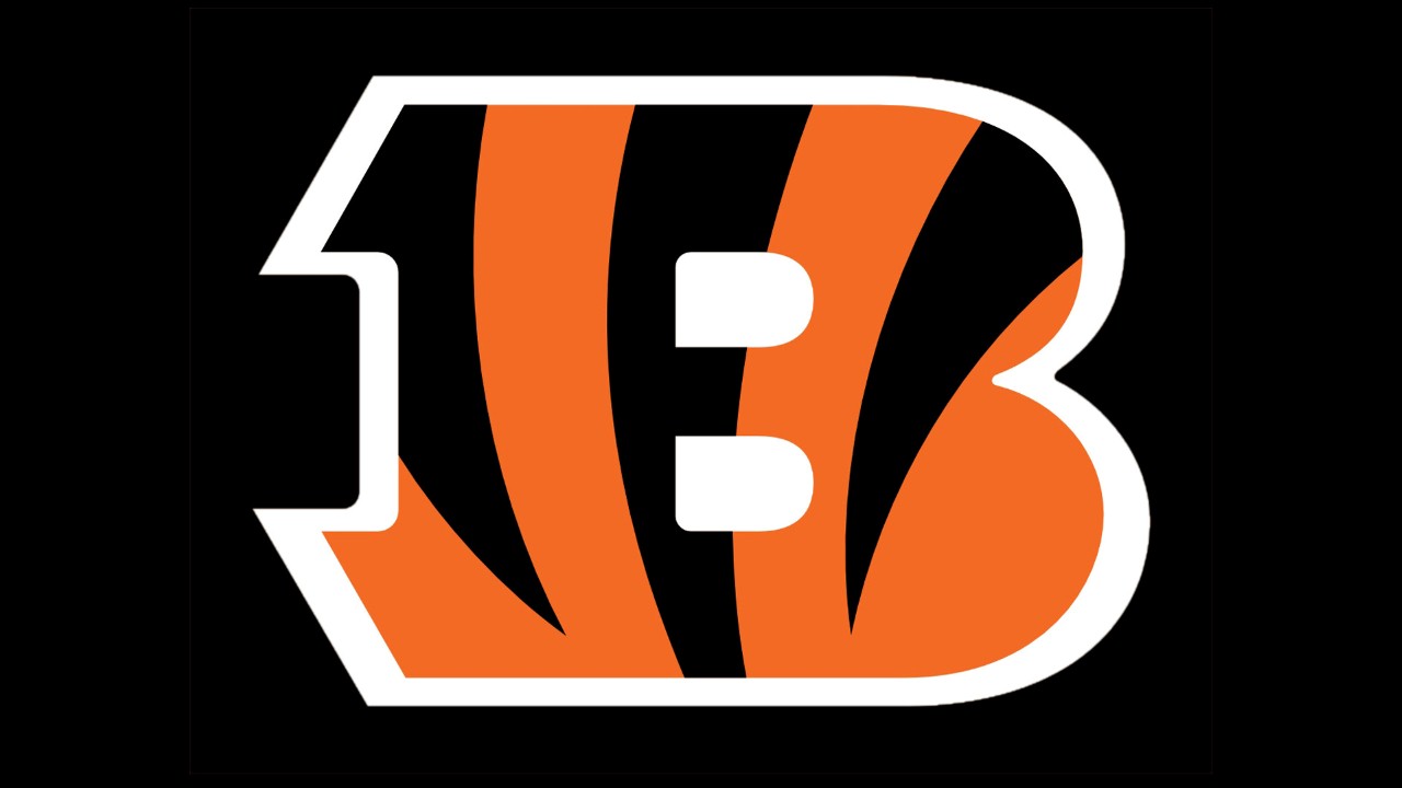 Cincinnati Bengals fan art 1