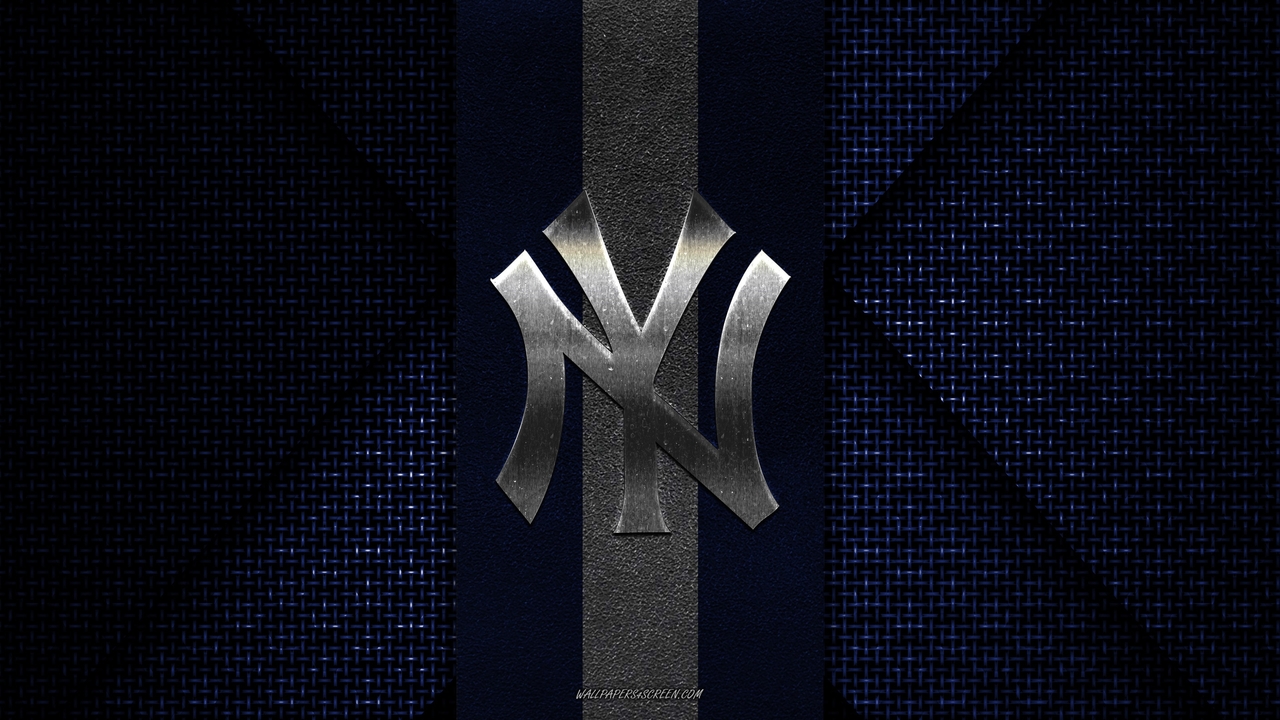 New York Yankees fan art 1