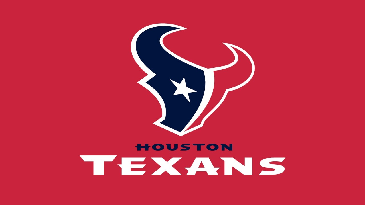 Houston Texans fan art 1
