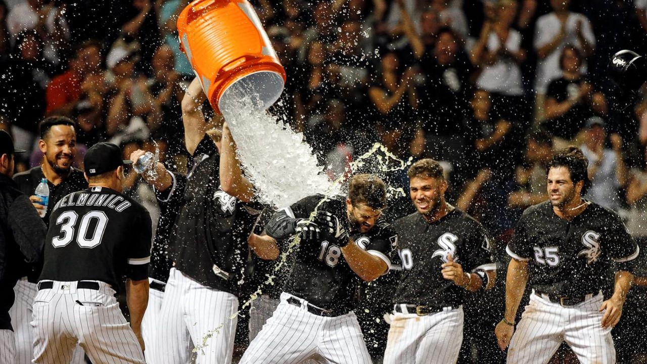 Chicago White Sox fan art 2