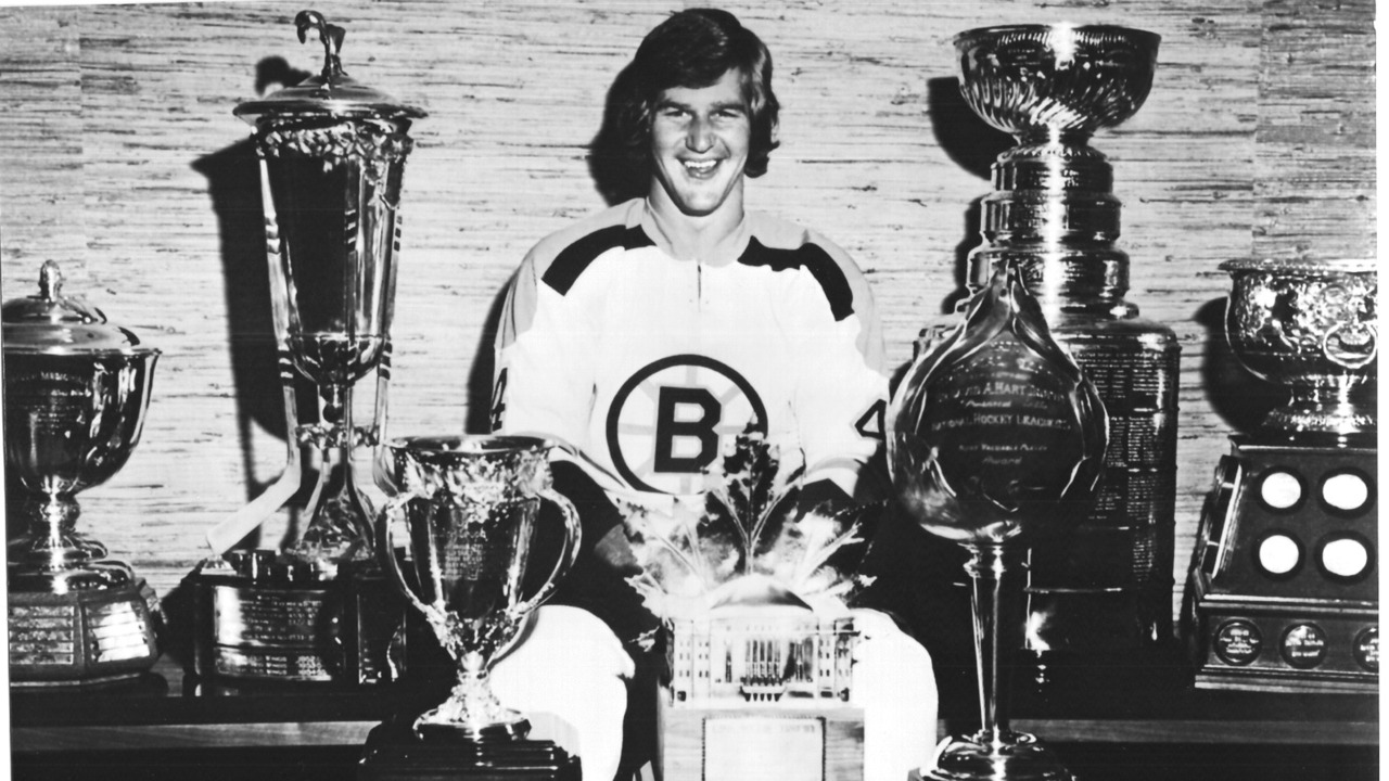 Boston Bruins fan art 3