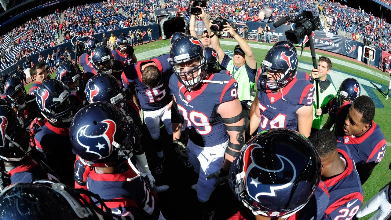 Houston Texans fan art 2