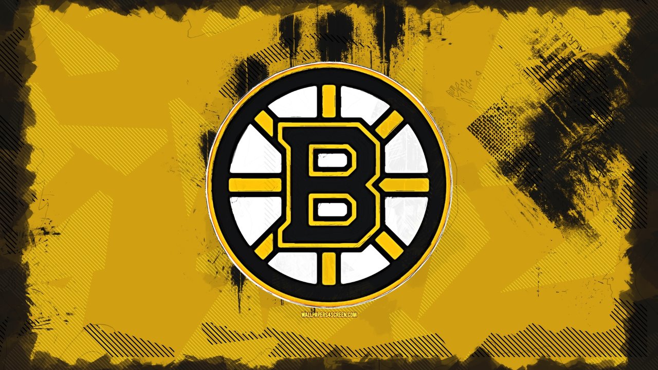 Boston Bruins fan art 1
